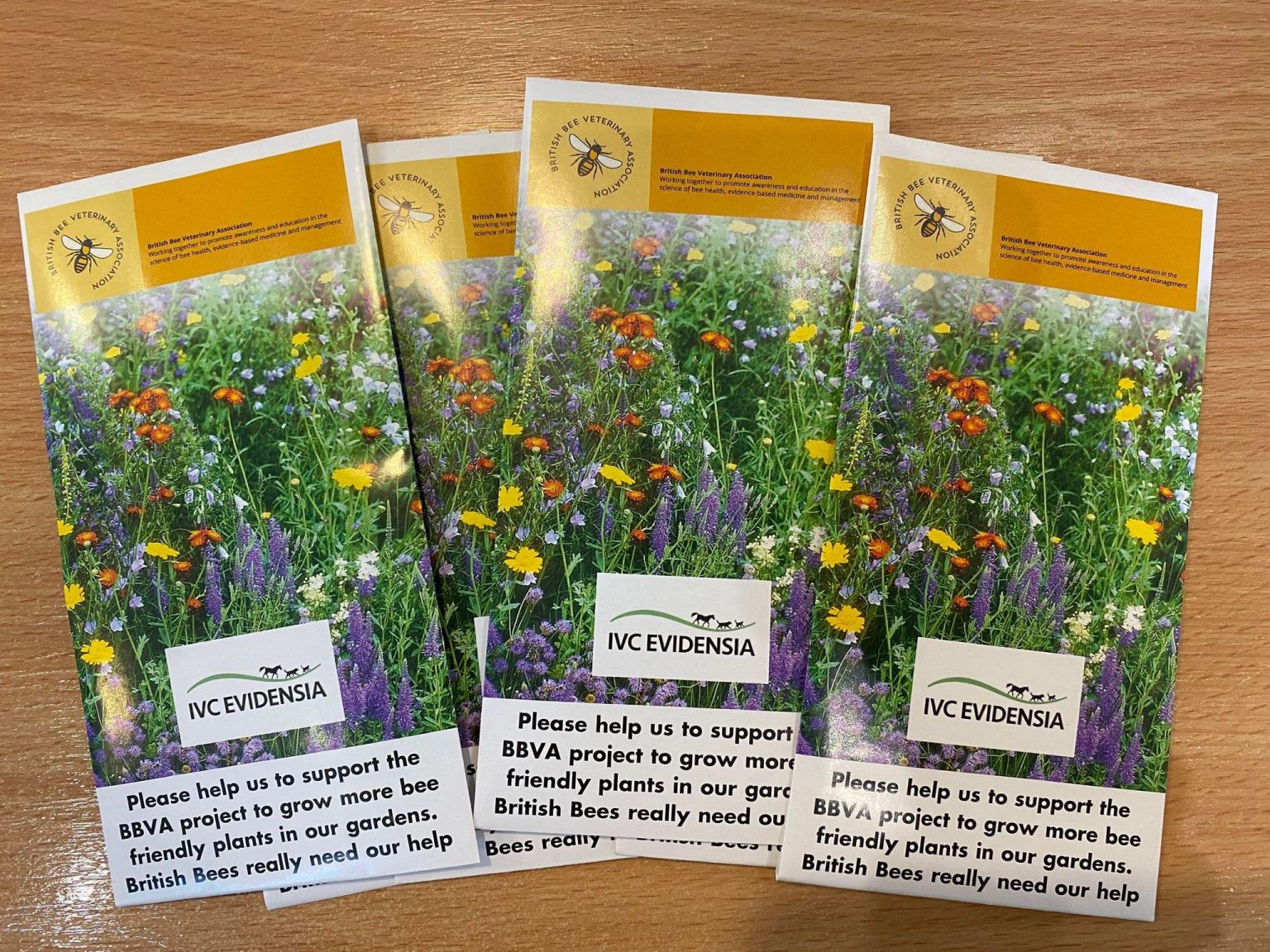 Wildflower seed packets supporting Ukraine BBVA